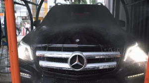 Basic Wash